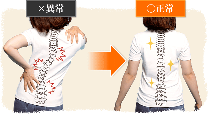 骨盤は身体の中心にあり、脊髄を支える身体の要