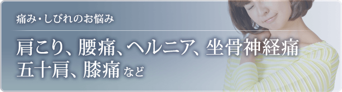 肩こり、腰痛、ヘルニア、坐骨神経痛、五十肩、膝痛など